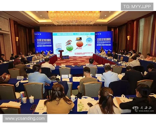 杭州篮球队的崛起与发展探讨聚焦球队意识与战术创新